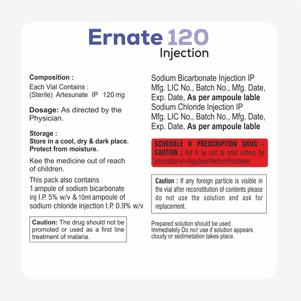 ERNATE-120 Visual
